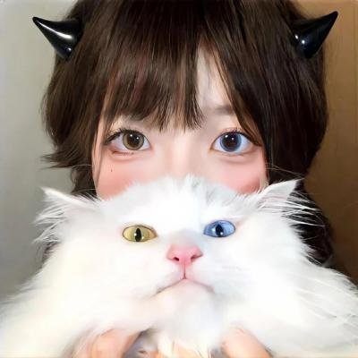 同途她是他